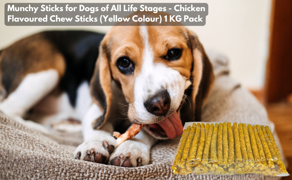 Wholesome Chicken Flavored Munchy Sticks for Dogs - All Life Stages, 2.2 LB