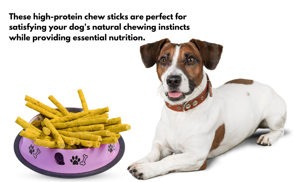 Wholesome Chicken Flavored Munchy Sticks for Dogs - All Life Stages, 2.2 LB